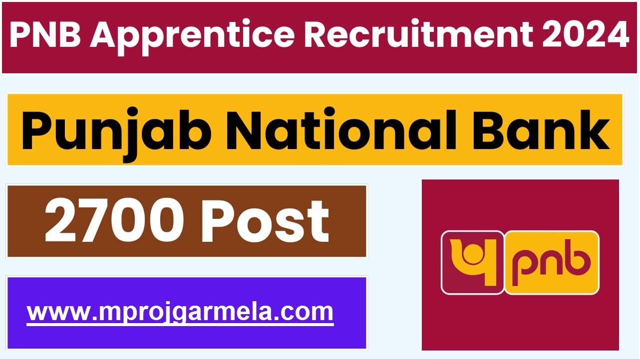 PNB Apprentice Vacancy 2024